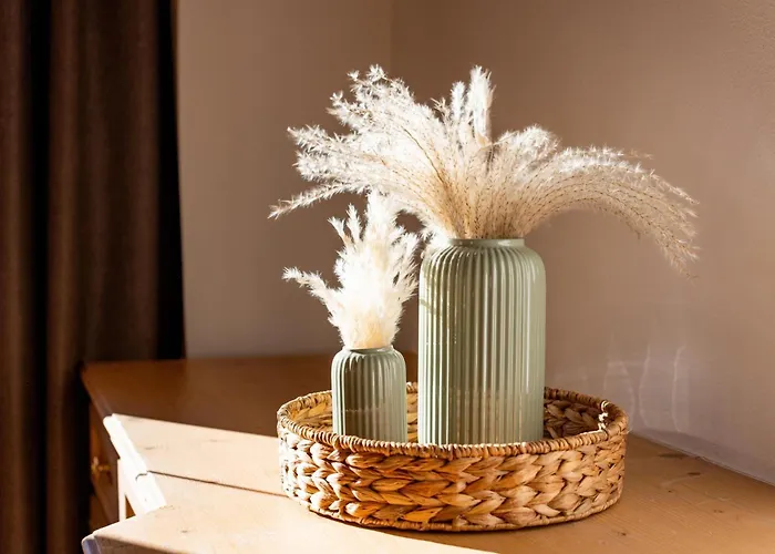 Tatil Evi Andreashof